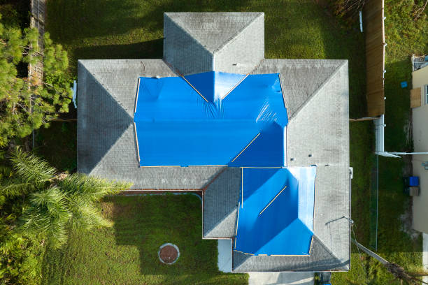 Best Solar Panel Roofing Installation  in Pearland, TX